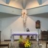 The altar of Our Lady of Mt. Carmel Chapel has white walls. At the center is a statue of the risen Jesus Christ, in a white robe and with both hands raised, mounted n the wall. The altar is draped with a white cloth. In front of the altar are flowers of colors red, yellow, and green. The lectern is seen on the left (if viewing from the nave); it is brown, made of wood, and has a book-like embossed image in front. On the right is a wooden chair for the priest, with backrest and armrest, but no design. Above and on the left of the priest's chair is the tabernacle, enclosed by a brown wooden frame, and has goldtone metallic cover in front.